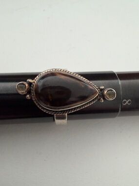 Sterling Teardrop Petrified Wood